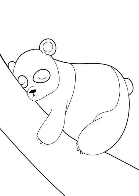 Los Mejores Dibujos De Osos Panda Para Colorear Imprimir Y Pintar 🐼