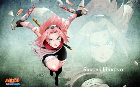 Sakura Haruno Computer Wallpapers Top Free Sakura Haruno Computer