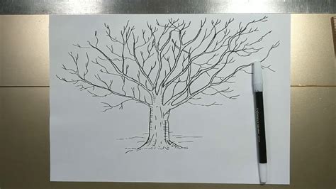 How To Draw Tree Without Leaves Step By Step Youtube