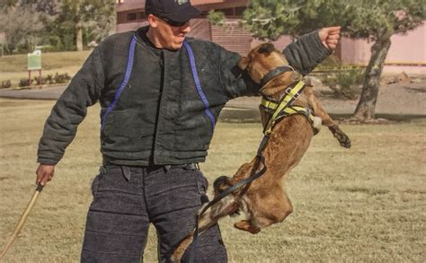 Dog attack to optimize their training. Equipment Training By George Daniolos, K-9 Defense Founder ...