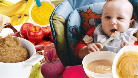 Primeiros Alimentos Para Bebês Quais Alimentos Introduzir Cantinho