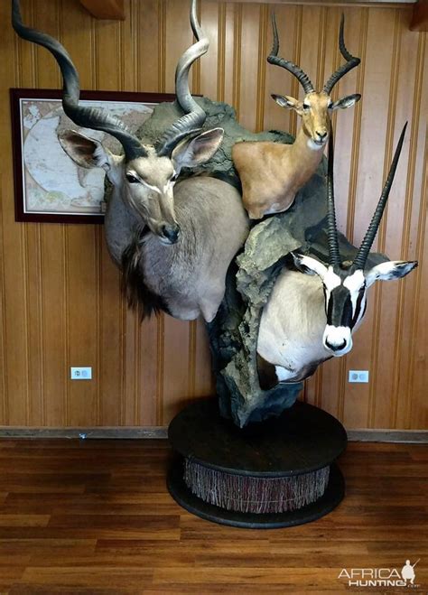 Kudu Impalaand Gemsbok Shoulder Mount Pedestal Combo Taxidermy