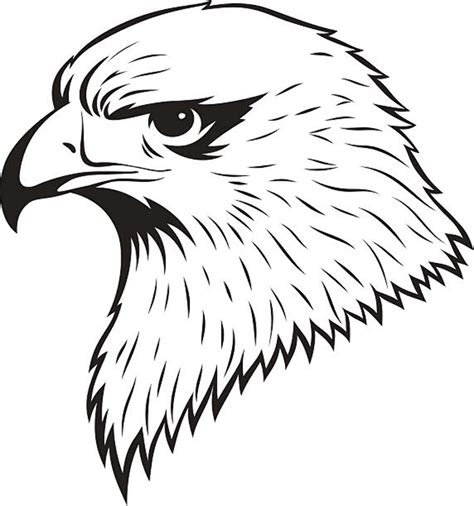 Eagle Clipart Black And White Free Clipart Images Cliparting Com