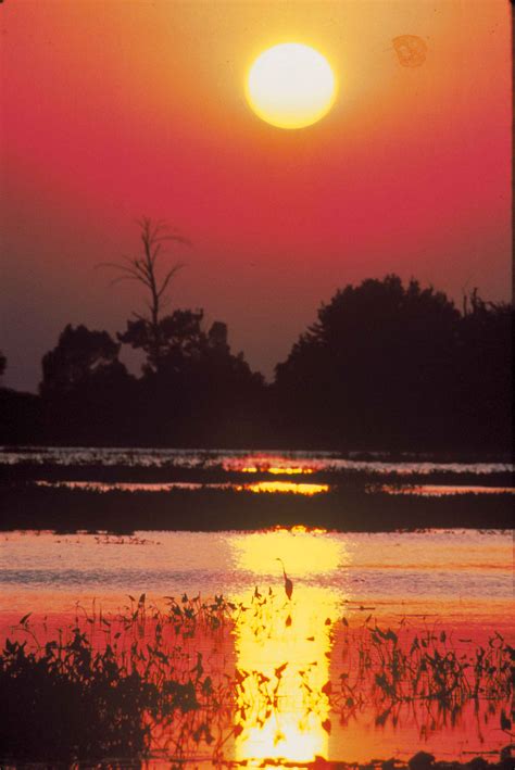 Free Picture Sunset Red Burd Scenics Landscape