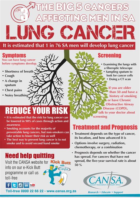 infographic lung cancer men cansa the cancer association of south africa cansa the