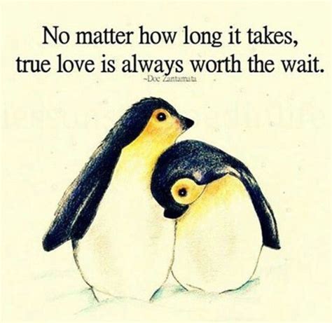 Summer is a latvian chicken. True love is worth it! | Penguin love quotes, Penguin love, True love