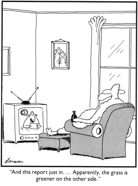 Pin By Lynn Rutherford On Sheep Far Side Comics Far Side Cartoons