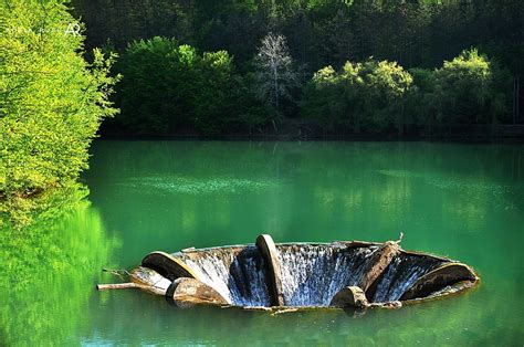 Obiective Turistice Bihor Lacul Vida Destinatie Romania