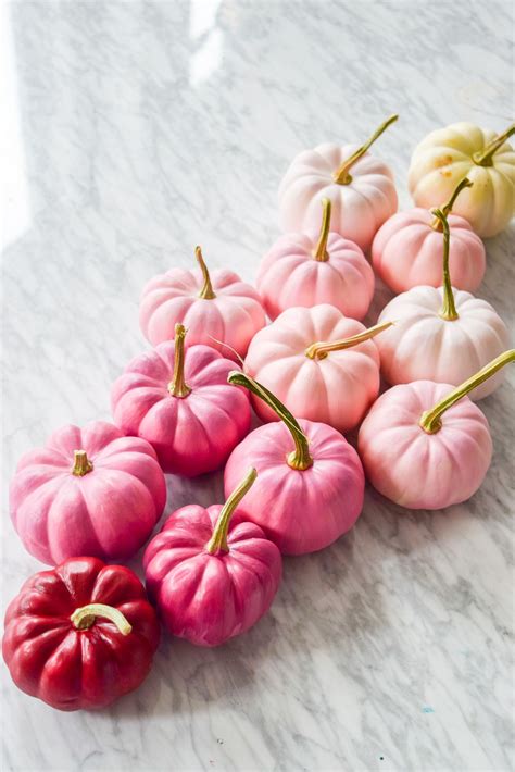 Painted Ombré Pumpkin Centerpiece Fusion ️ Mineral Paint Pink