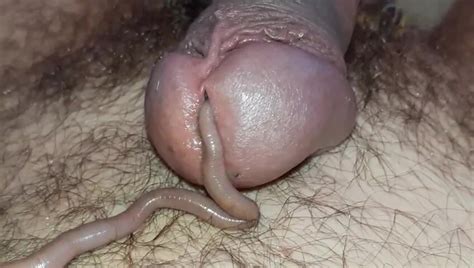 Worm In Cock Video 2
