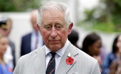 Prince Charles Youth Charity Trust To Stop Taking Huawei Donations