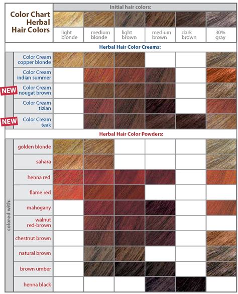 Warm Tone Hair Color Chart