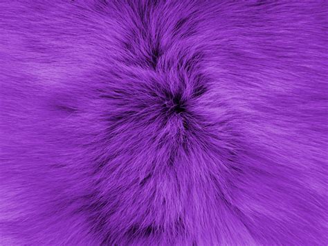 Lilac Soft Fur Background Free Stock Photo Public Domain Pictures