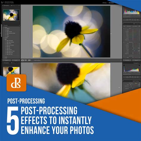 5 Post Processing Effects To Instantly Enhance Your Photos Post