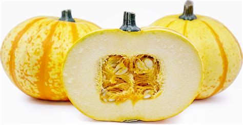 Royalty Pumpkins Information And Facts