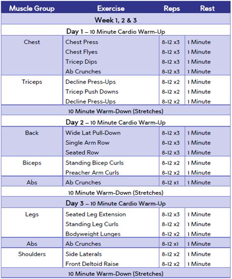 6 week beginner s multi gym workout plan uk beginner gym workout routine weekly