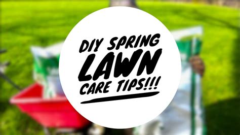 I have been running tests and trying a number or different products. DIY Spring Lawn Care!! Products, Equipment, & "HOW TO" - YouTube