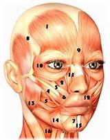 Nose Muscle Exercise