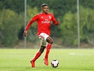 Florentino Luís: o “polvo” do Benfica com cláusula de 120 milhões | G24