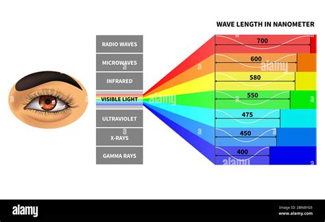Electromagnetic Spectrum Visible Light Prism