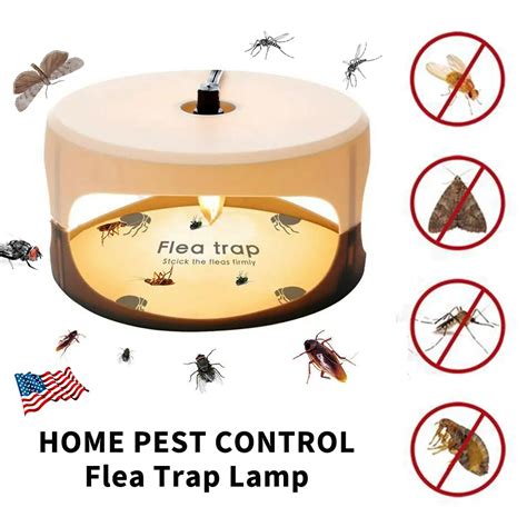 Terro Refillable Flea Indoor Insect Trap 3 Pack In The 54 Off