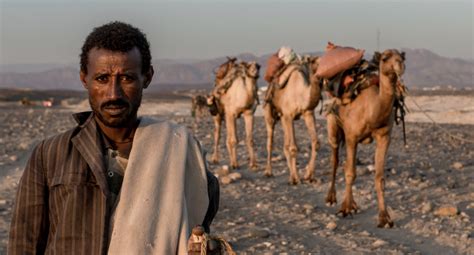 Eritrean Troops Round Up Afar Families Martin Plaut