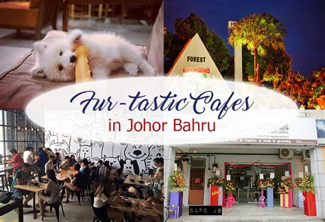If you know any shop including the 1. Fur-tastic Cafes in Johor Bahru - JOHOR NOW