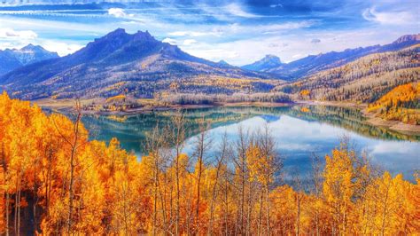 Autumn Forest Trees With Yellow Leaves Blue Sky Mountain Lake United