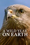 Watch A Wild Year on Earth Online | Season 1 (2021) | TV Guide