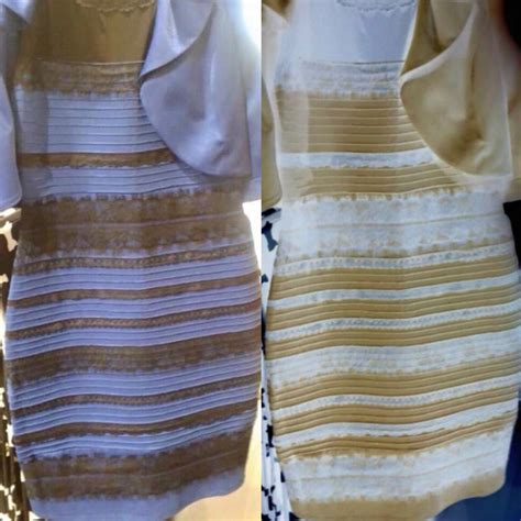 Real Life Black And Blue Dress Illusion Explained
