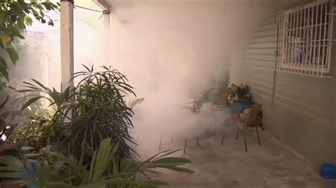 Raw Mosquito Spraying In Miamis Wynwood Area