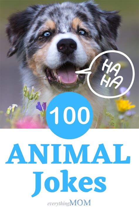 100 Animal Jokes That Will Have You Laughing Everythingmom Funny