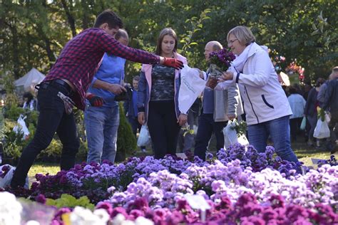 W Weekend Odbędą Się 28 Targi Kwiatowe Przy Poniatowskiego Głos Pomorza