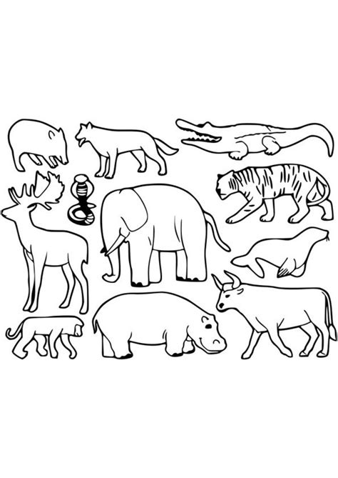 Coloriage Animaux Domestiques Animauxcoloriage0d Christmas Mimosa