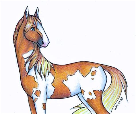 Horse Cartoon Drawing At Getdrawings Free Download