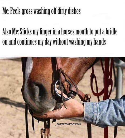 Most Relatable Horse Memes Page 3 The Horse Forum