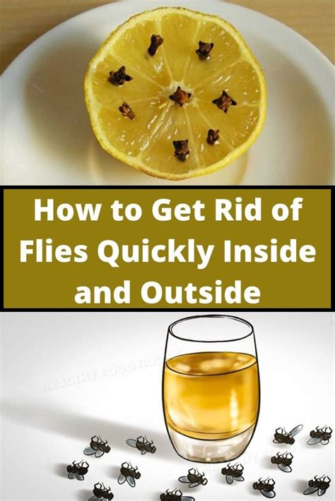 How To Get Rid Of Flies Quickly Inside And Outside In 2020 Get Rid