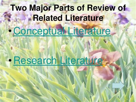 Chapter 2review Of Related Literature And Studies