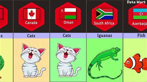 Most Popular Pets From Different Countries Pets From Different