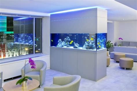 Enhance Your Interior With A Mesmerizing Home Aquarium