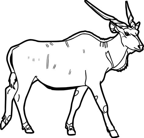 Eland Coloring Page