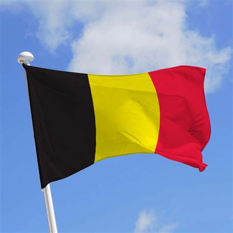 L'article 193 de la constitution mentionne les couleurs, les armes et la devise nationale : La «Journée Observatoire Belgique» : un immense succès ...