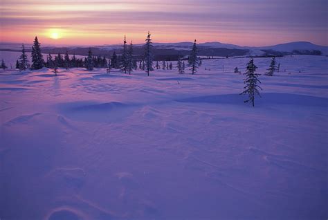 Sunset Over Snowy Arctic Tundra Photograph By Joel Sheagren Fine Art