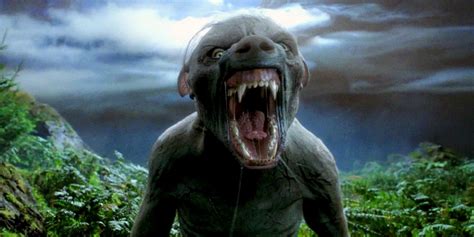 Harry Potter 10 Most Iconic Beasts In The Movies