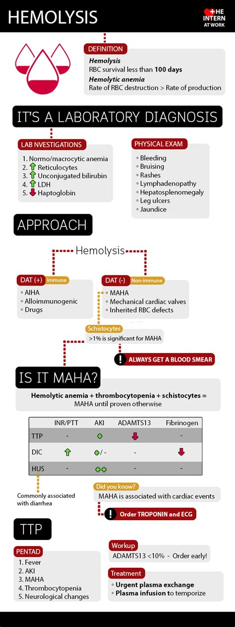 Hemolytic Anemia Hemolysis Diagnostic Workup Infographic Grepmed