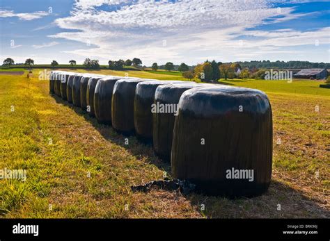 Black Polythene Covered Bales Hi Res Stock Photography And Images Alamy