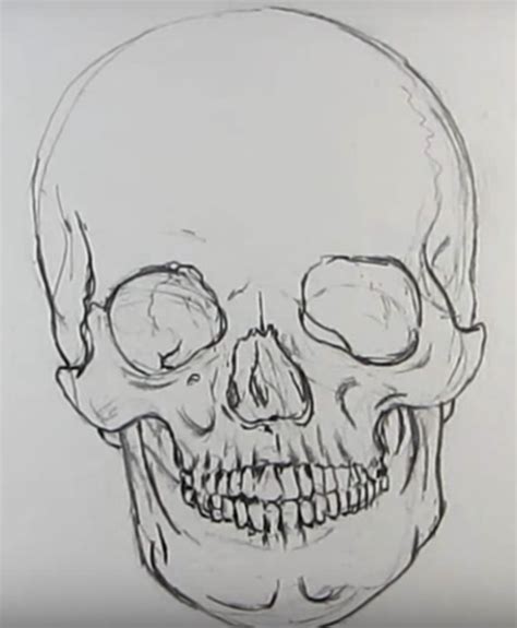 Череп для срисовки Рисунки черепа для срисовки карандашом