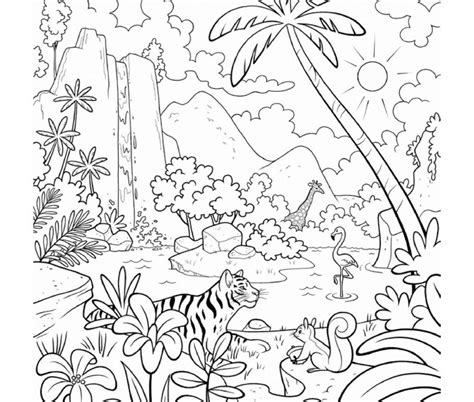 Layers Of The Rainforest Coloring Page At Getdrawings Free Download