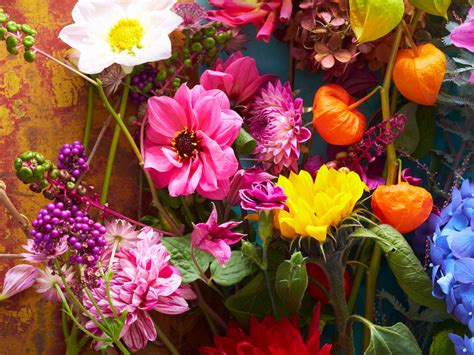 Desktop Wallpaper Flowers Bright And Colorful Fresh Hd