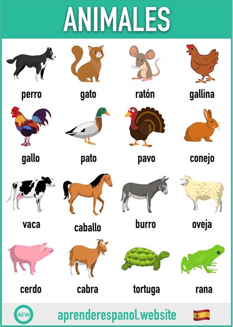 Los Animales En Español Spanish Teaching Resources Learning Spanish